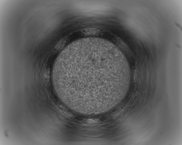 X0000097460737200803141851