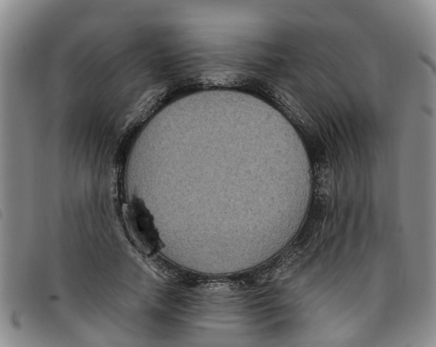 X0000097460738200803141851