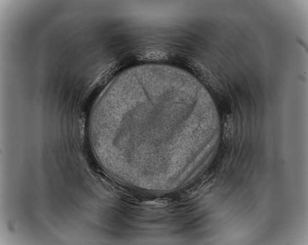 X0000097460739200803141851