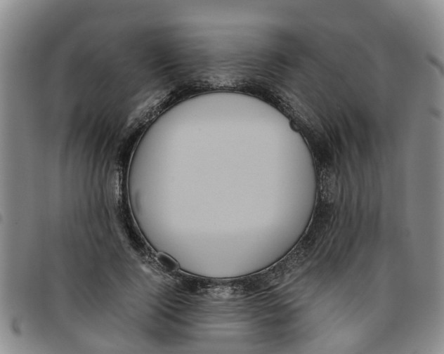 X0000097460740200803141851