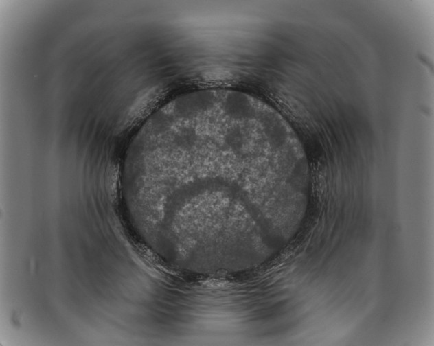 X0000097460742200803141851