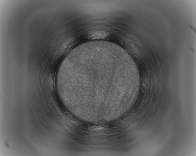 X0000097460743200803141851