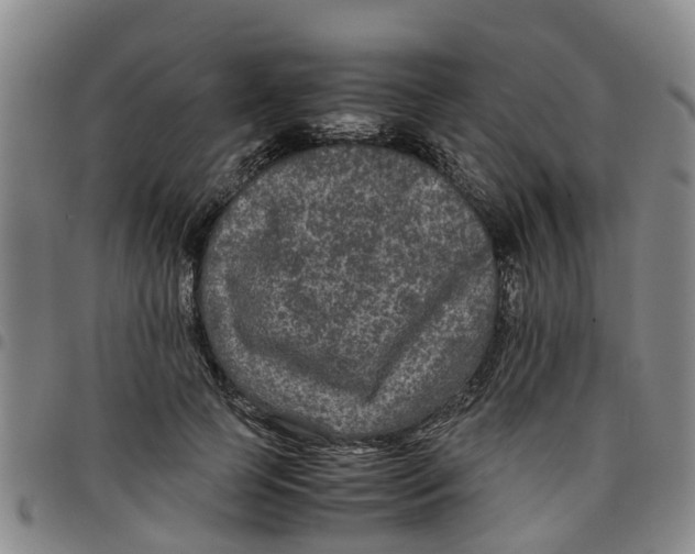 X0000097460745200803141851