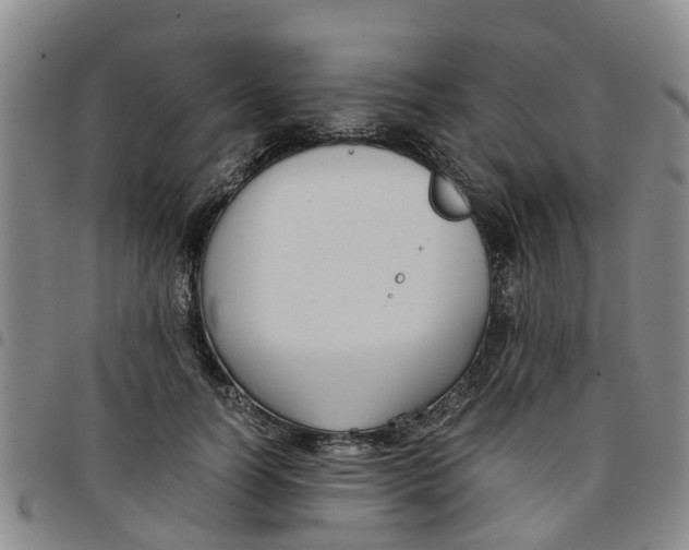 X0000097460746200803141851