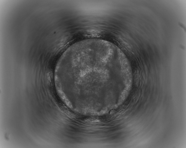 X0000097460747200803141851