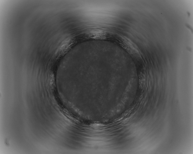 X0000097460748200803141851