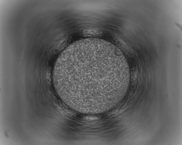 X0000097460749200803141851