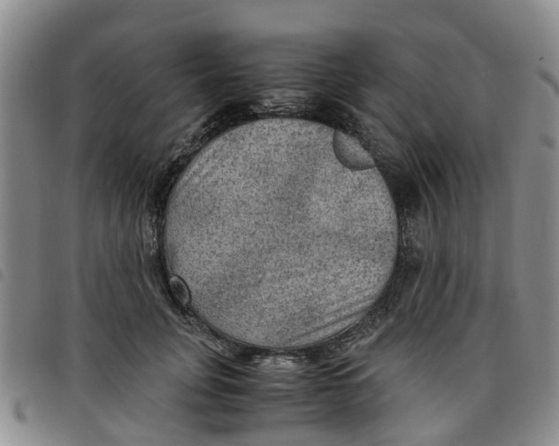 X0000097460751200803141851