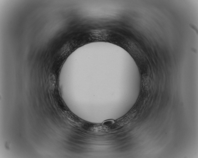 X0000097460752200803141851