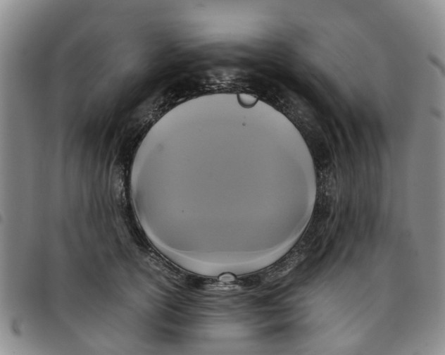 X0000097460754200803141851