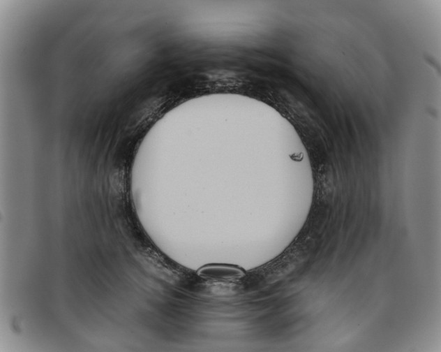 X0000097460756200803141851