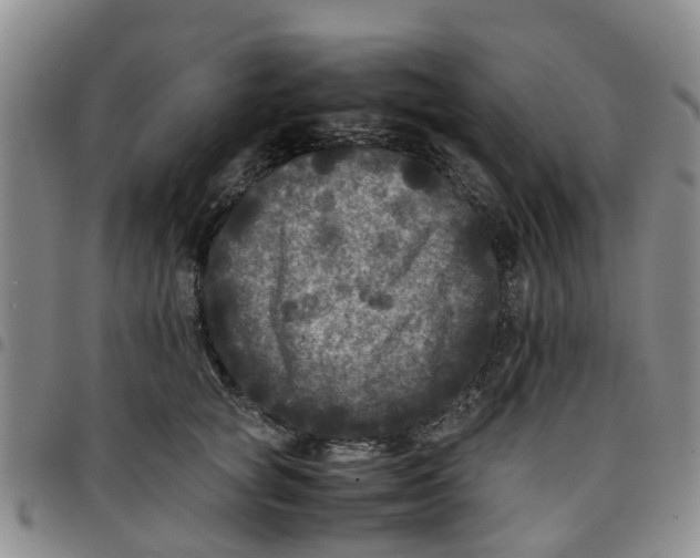 X0000097460757200803141851