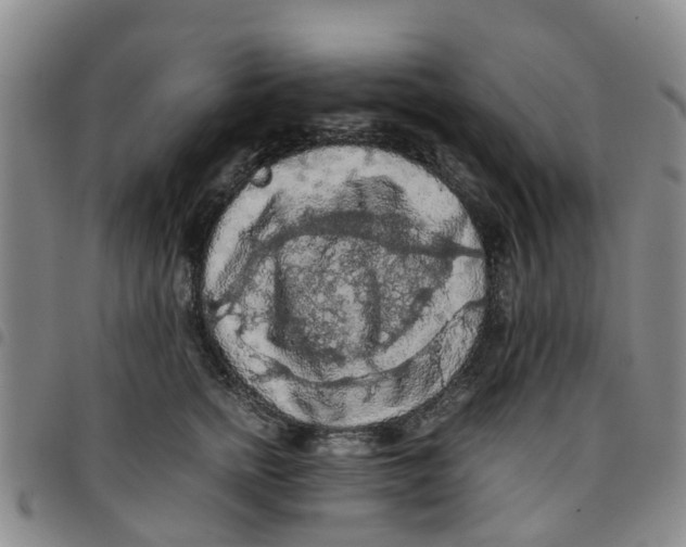 X0000097460758200803141851