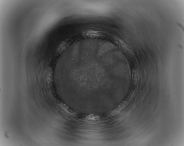 X0000097460760200803141851