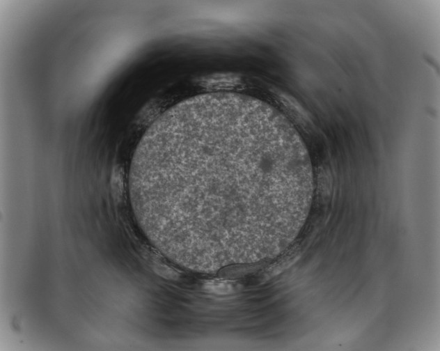 X0000097460761200803141851