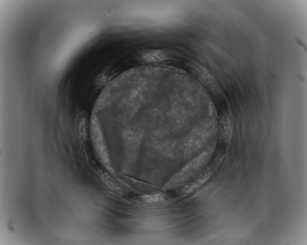 X0000097460762200803141851