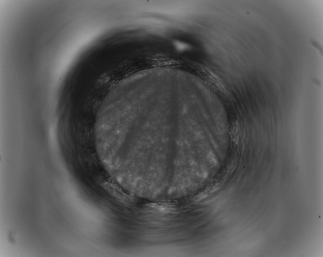 X0000097460763200803141851