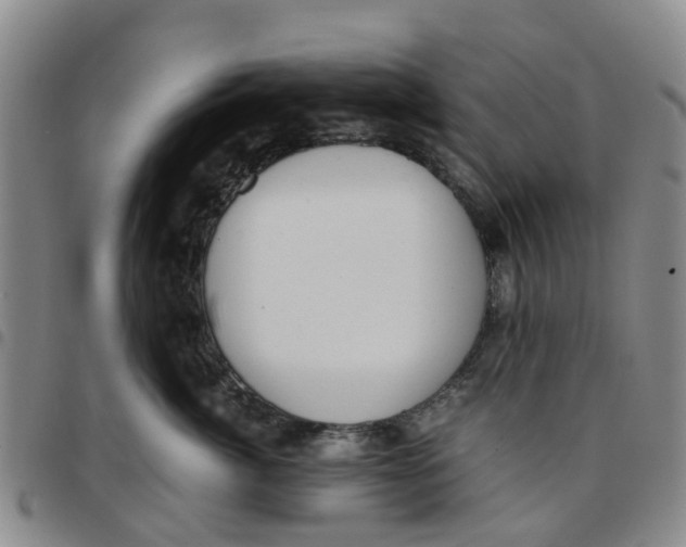 X0000097460764200803141851