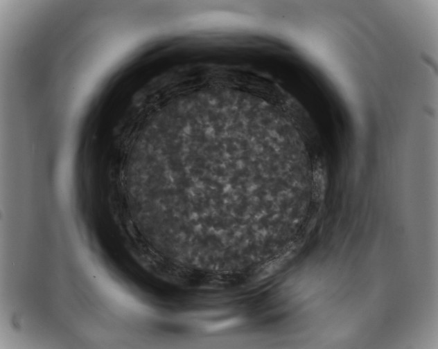 X0000097460765200803141851