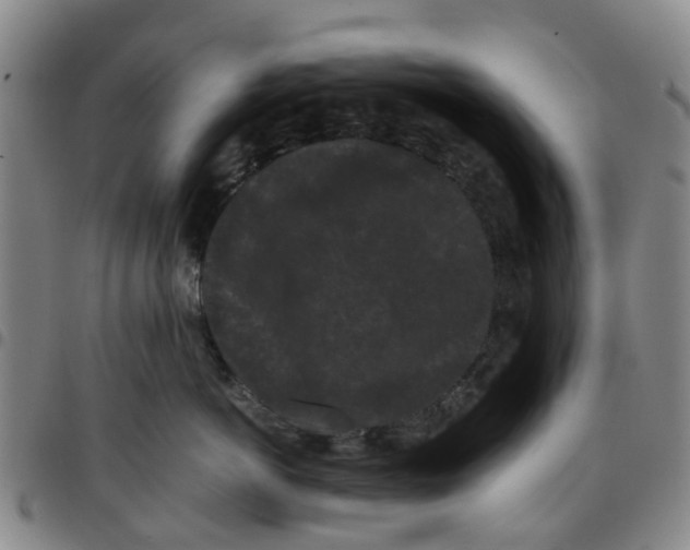 X0000097460766200803141851