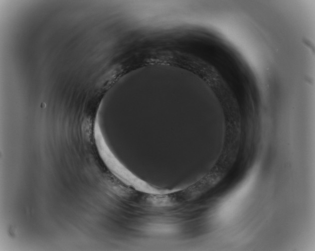 X0000097460767200803141851