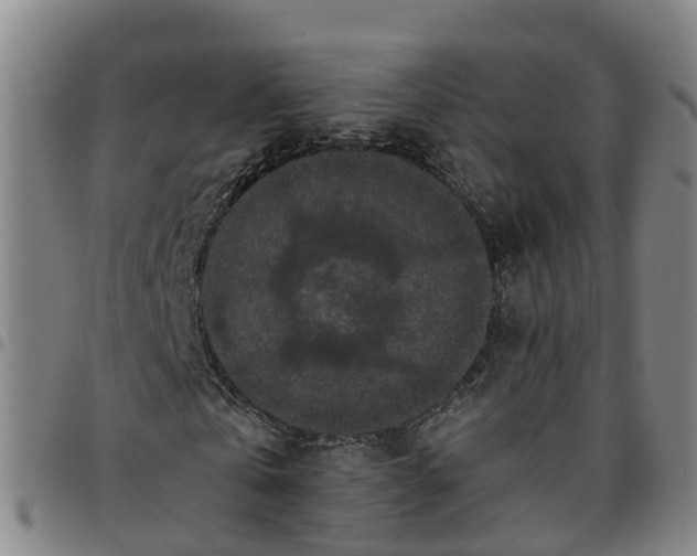 X0000097460769200803141851