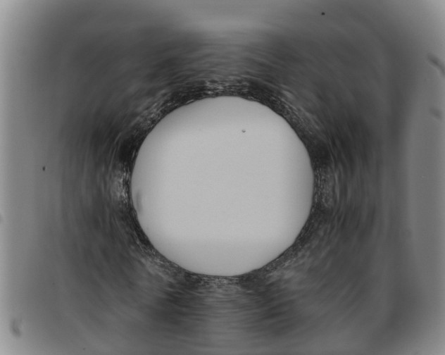 X0000097460770200803141851