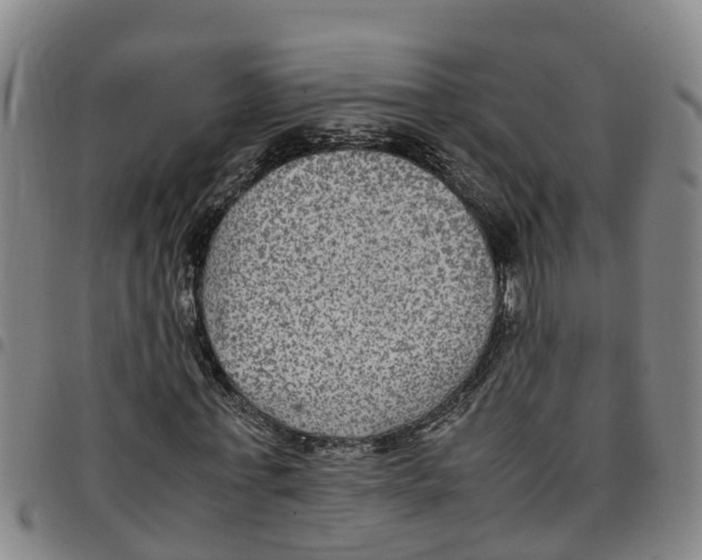 X0000097460771200803141851