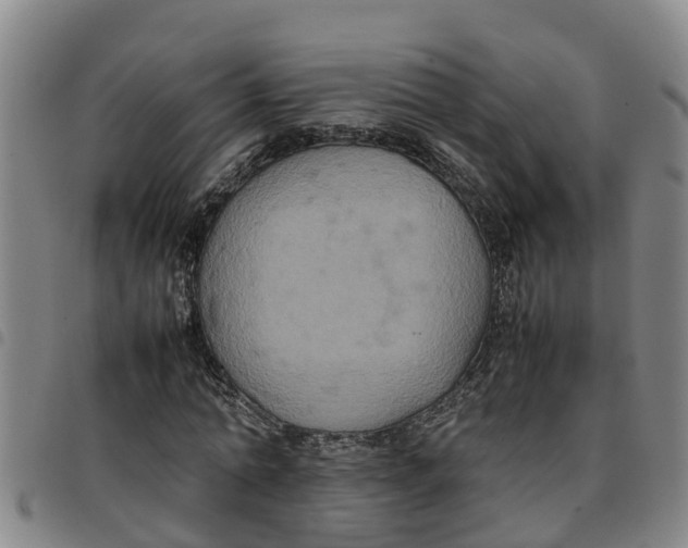 X0000097460774200803141851