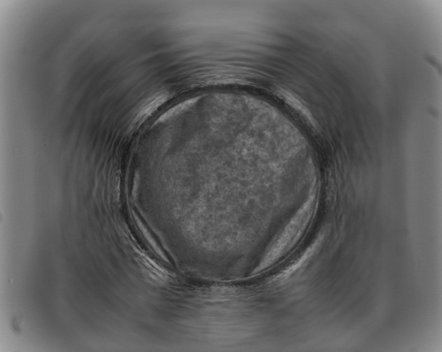 X0000097460777200803141851