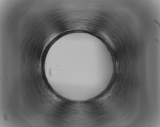 X0000097460780200803141851