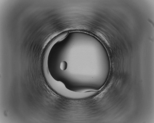 X0000097460781200803141851