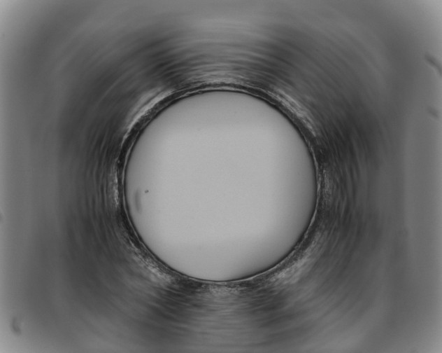 X0000097460782200803141851