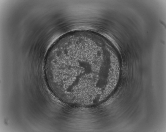 X0000097460783200803141851