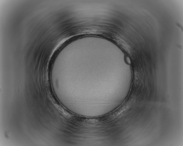 X0000097460784200803141851