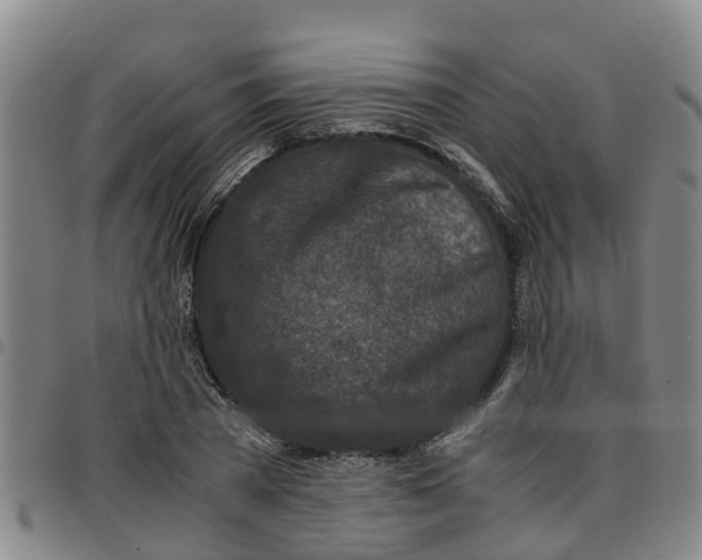 X0000097460785200803141850