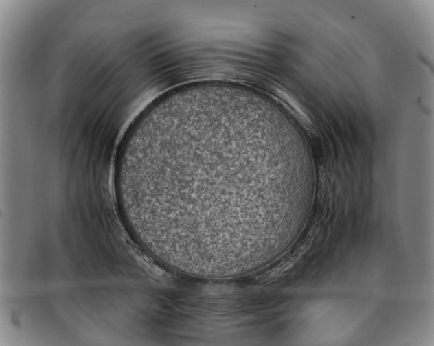 X0000097460788200803141850