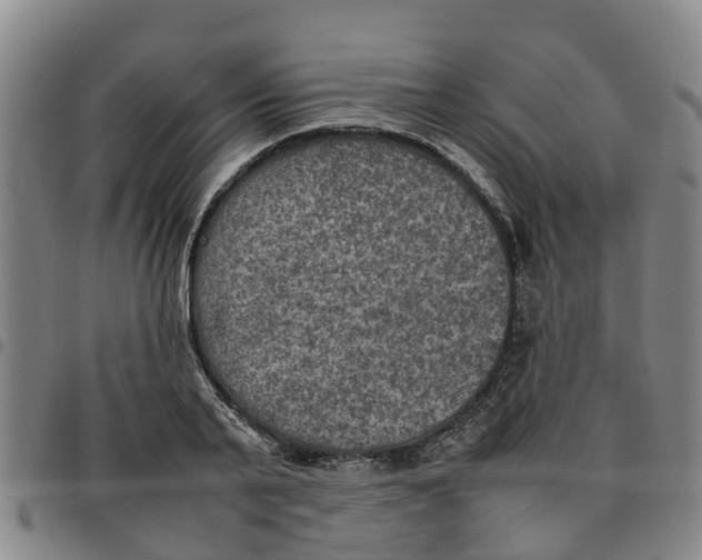 X0000097460791200803141850