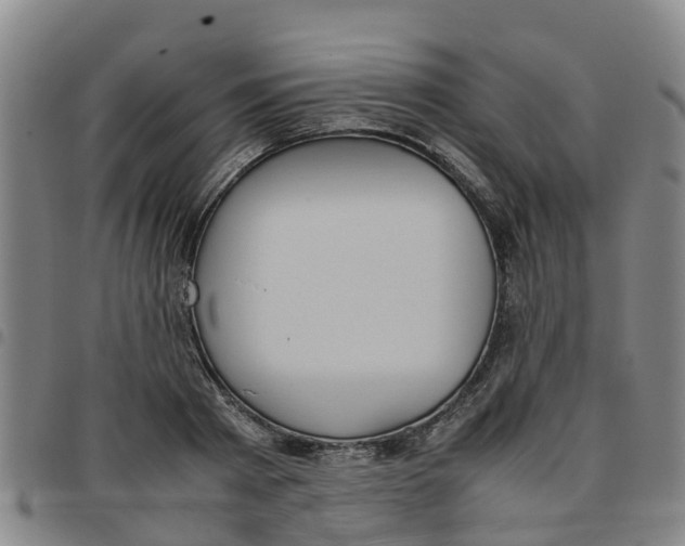 X0000097460793200803141850