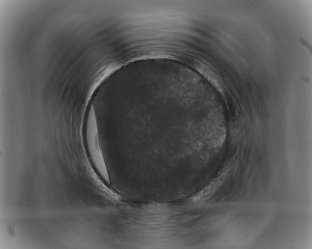 X0000097460797200803141850