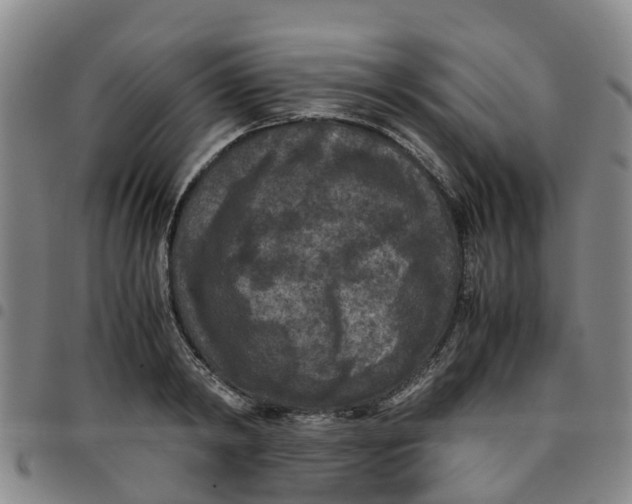 X0000097460798200803141850