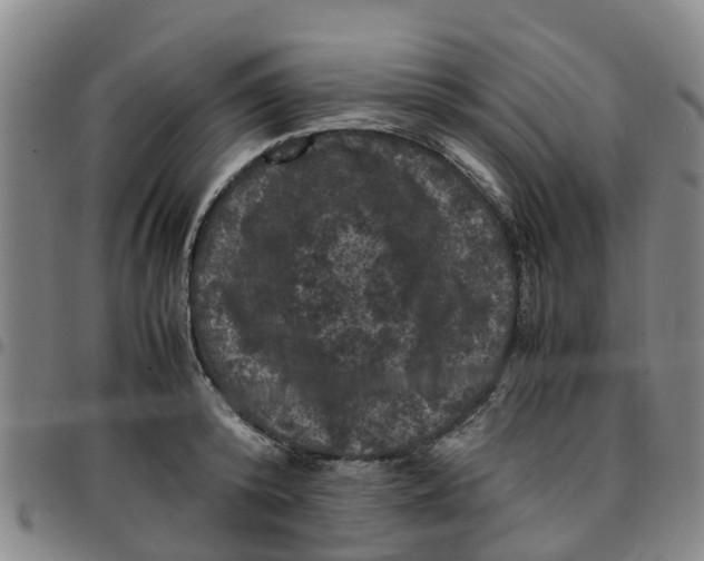 X0000097460800200803141850