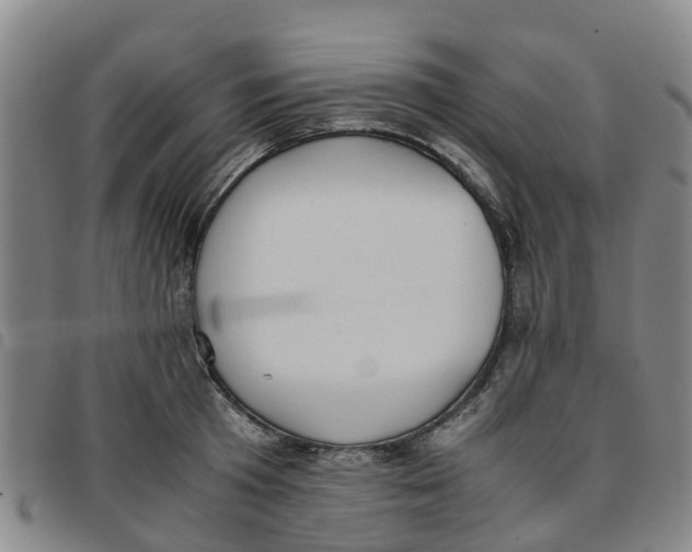 X0000097460801200803141850