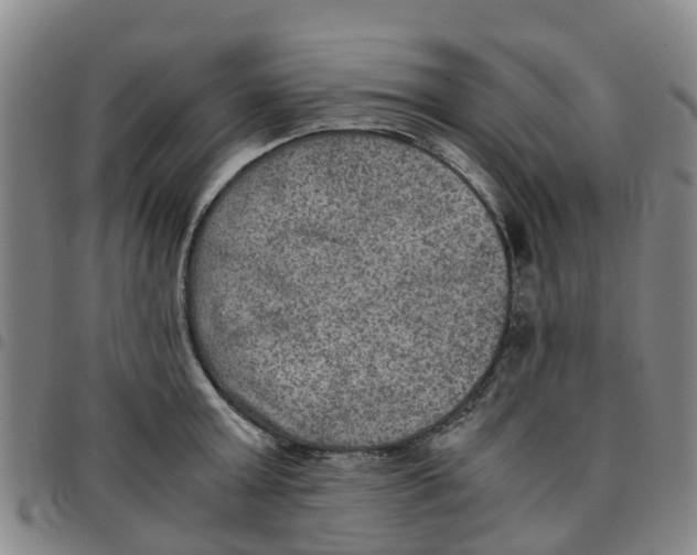 X0000097460803200803141850