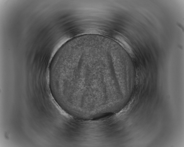 X0000097460804200803141850