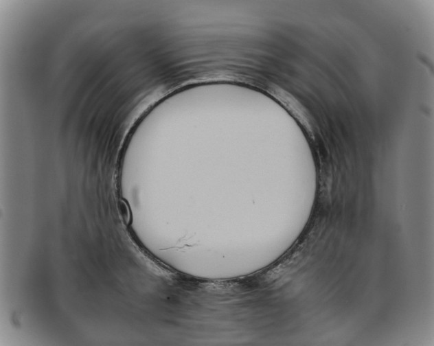 X0000097460805200803141850