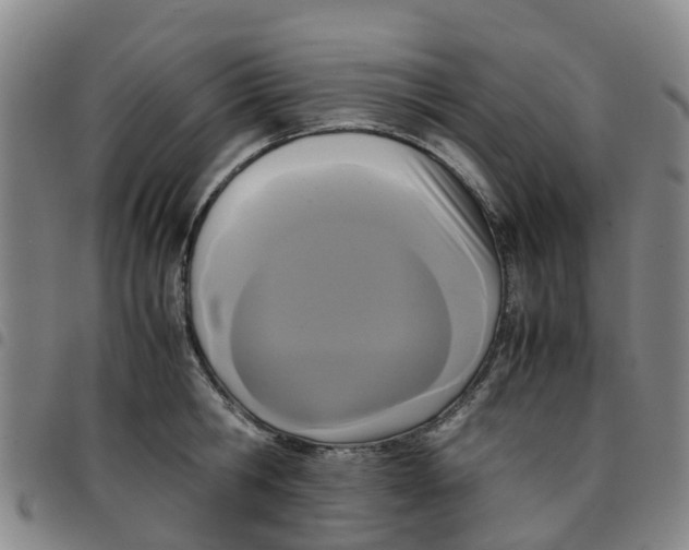 X0000097460806200803141850