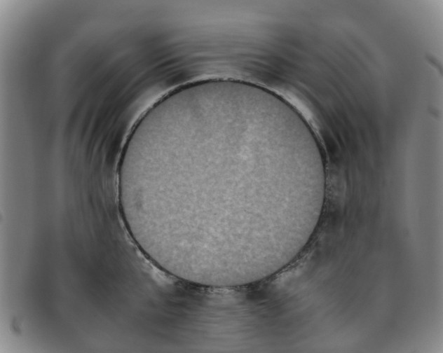 X0000097460807200803141850