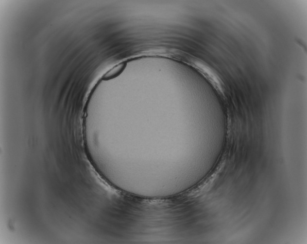 X0000097460808200803141850