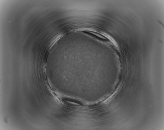 X0000097460809200803141850